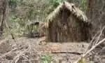 STF autoriza a implantação do Parque Nacional Tanaru na região onde residiu o indígena conhecido como “Índio do Buraco”
