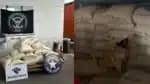 PF apreende 500kg de cocaína em carga de café no Rio de Janeiro
