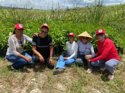 Imagem do post de destaque