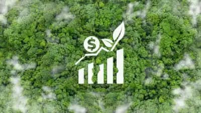 Imagem card com fundo