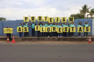 Imagem card com fundo