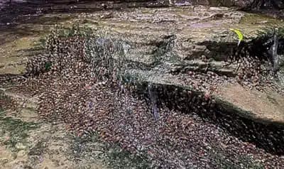 Imagem do post de destaque