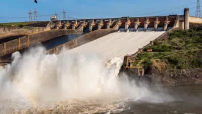 Imagem card com fundo