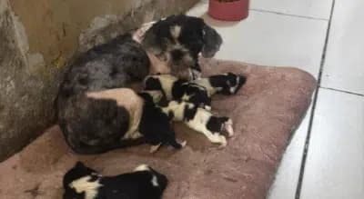 Imagem card com fundo