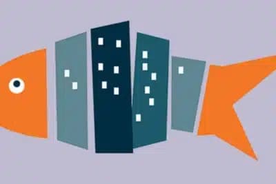 Imagem card com fundo