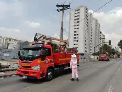 Imagem do post de destaque