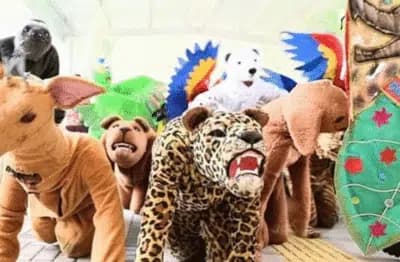 Imagem card com fundo