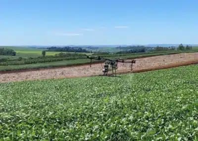 Imagem card com fundo