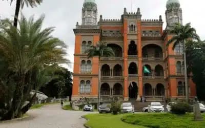 Imagem card com fundo