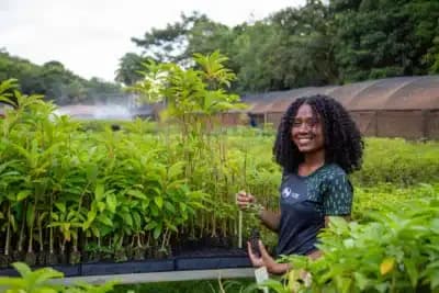 Imagem card com fundo