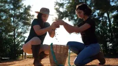 Imagem card com fundo