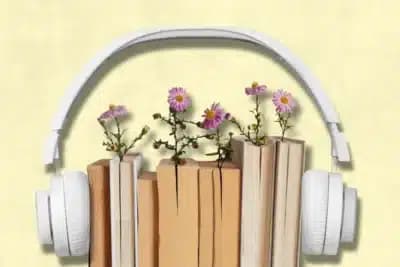 Imagem card com fundo