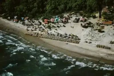 Imagem card com fundo