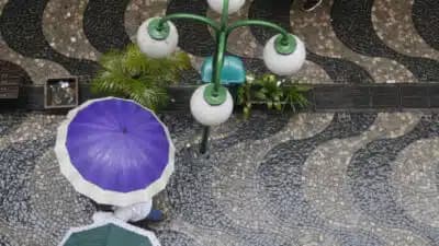 Imagem card com fundo