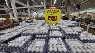 Imagem card com fundo