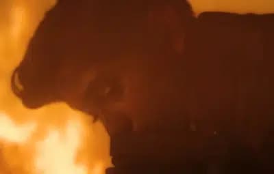 Imagem card com fundo