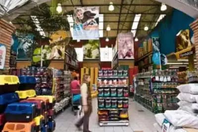 Imagem card com fundo