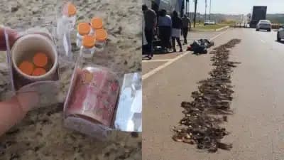 Imagem card com fundo