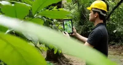 Imagem card com fundo