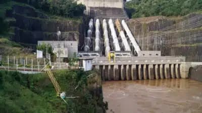 Imagem card com fundo