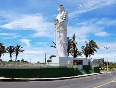 Imagem card com fundo