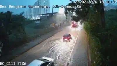 Imagem card com fundo