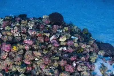 Imagem card com fundo