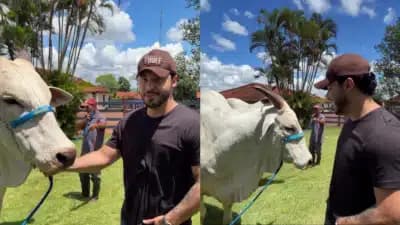 Imagem card com fundo