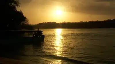 Imagem card com fundo