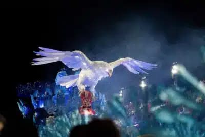 Imagem card com fundo