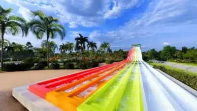 Imagem card com fundo