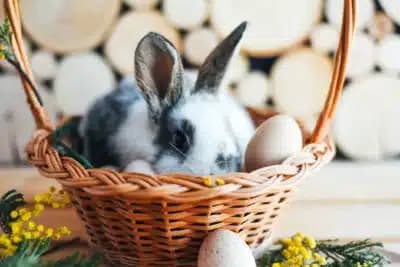 Imagem card com fundo