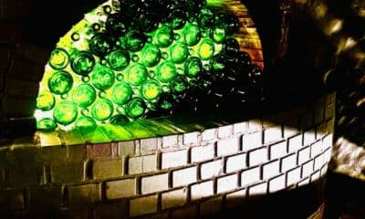 Imagem card com fundo