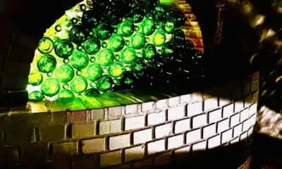 Imagem card com fundo